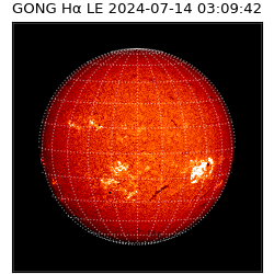 gong - 2024-07-14T03:09:42