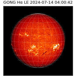 gong - 2024-07-14T04:00:42