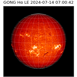 gong - 2024-07-14T07:00:42