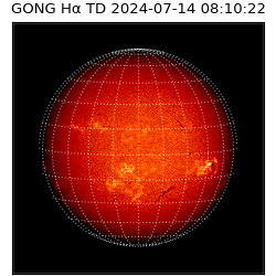 gong - 2024-07-14T08:10:22