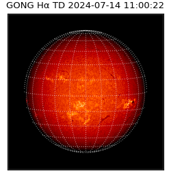 gong - 2024-07-14T11:00:22