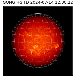 gong - 2024-07-14T12:00:22