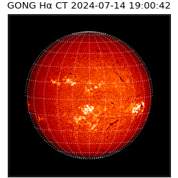 gong - 2024-07-14T19:00:42