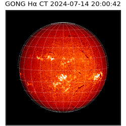 gong - 2024-07-14T20:00:42