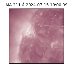 saia - 2024-07-15T19:00:09.619000