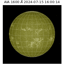 saia - 2024-07-15T16:00:14.126000