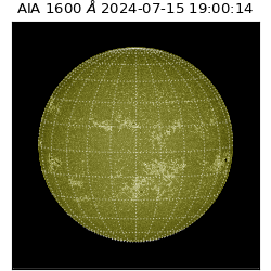 saia - 2024-07-15T19:00:14.118000