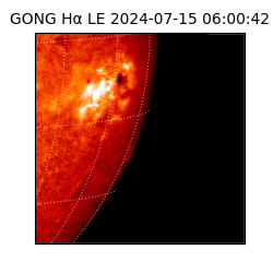 gong - 2024-07-15T06:00:42