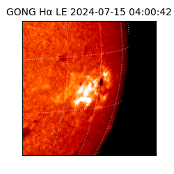 gong - 2024-07-15T04:00:42