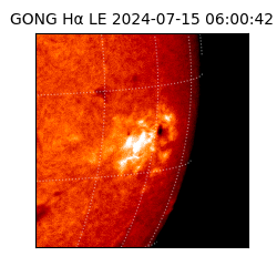gong - 2024-07-15T06:00:42