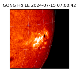 gong - 2024-07-15T07:00:42