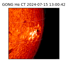 gong - 2024-07-15T13:00:42