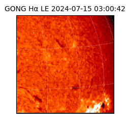gong - 2024-07-15T03:00:42