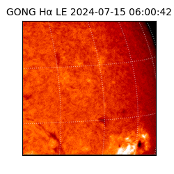 gong - 2024-07-15T06:00:42