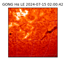 gong - 2024-07-15T02:00:42