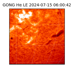 gong - 2024-07-15T06:00:42