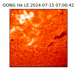 gong - 2024-07-15T07:00:42