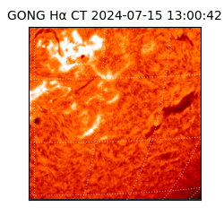 gong - 2024-07-15T13:00:42