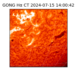 gong - 2024-07-15T14:00:42