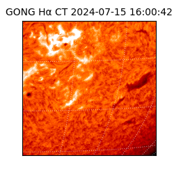 gong - 2024-07-15T16:00:42