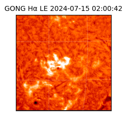 gong - 2024-07-15T02:00:42