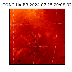 gong - 2024-07-15T20:08:02