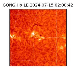 gong - 2024-07-15T02:00:42