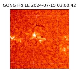 gong - 2024-07-15T03:00:42