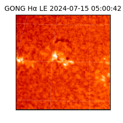 gong - 2024-07-15T05:00:42