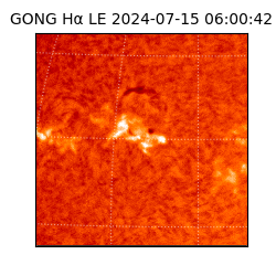 gong - 2024-07-15T06:00:42