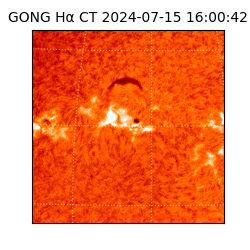 gong - 2024-07-15T16:00:42