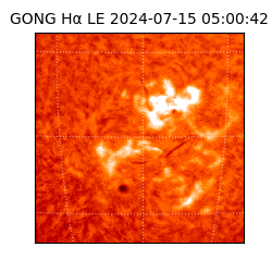 gong - 2024-07-15T05:00:42