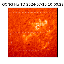 gong - 2024-07-15T10:00:22