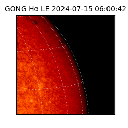 gong - 2024-07-15T06:00:42