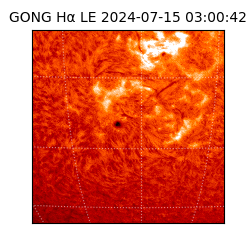 gong - 2024-07-15T03:00:42