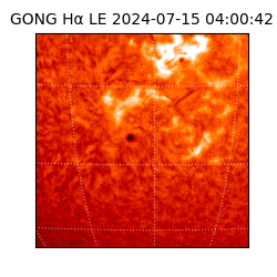 gong - 2024-07-15T04:00:42