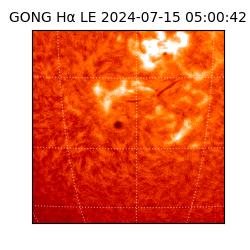 gong - 2024-07-15T05:00:42