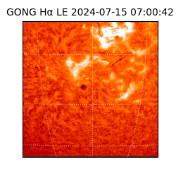 gong - 2024-07-15T07:00:42