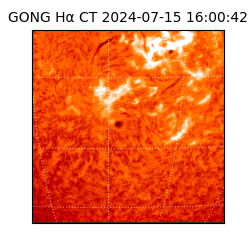 gong - 2024-07-15T16:00:42