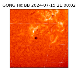 gong - 2024-07-15T21:00:02