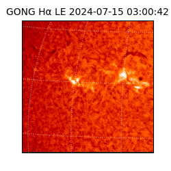 gong - 2024-07-15T03:00:42