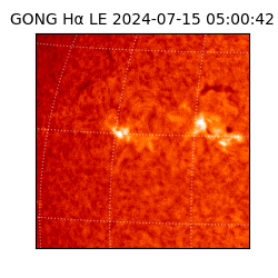 gong - 2024-07-15T05:00:42