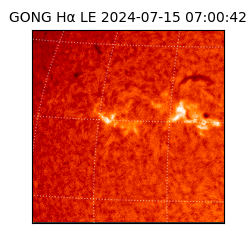 gong - 2024-07-15T07:00:42