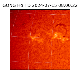 gong - 2024-07-15T08:00:22