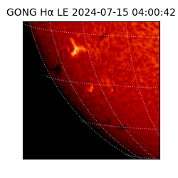 gong - 2024-07-15T04:00:42
