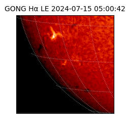 gong - 2024-07-15T05:00:42