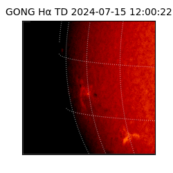gong - 2024-07-15T12:00:22