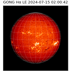 gong - 2024-07-15T02:00:42
