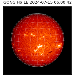 gong - 2024-07-15T06:00:42