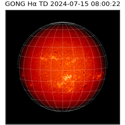 gong - 2024-07-15T08:00:22